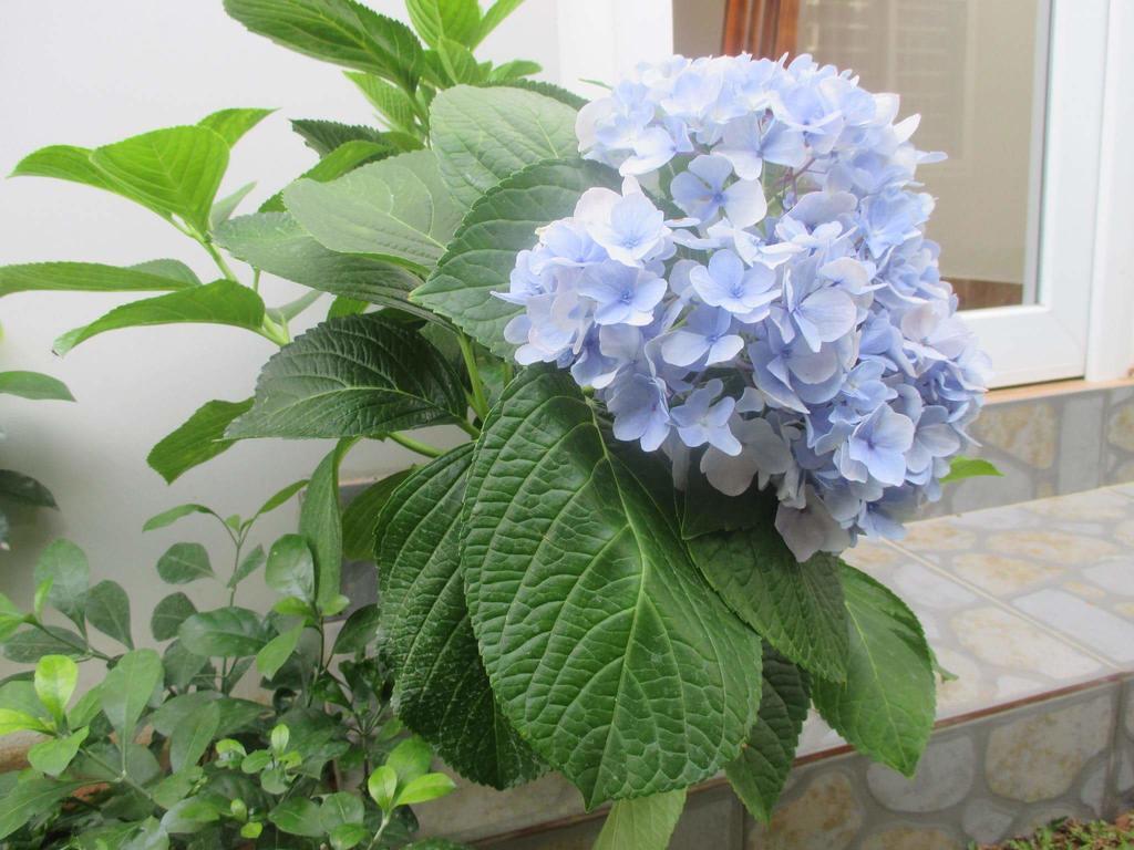 Manh Duyen Garden Homestay ฟู้โกว๊ก ภายนอก รูปภาพ