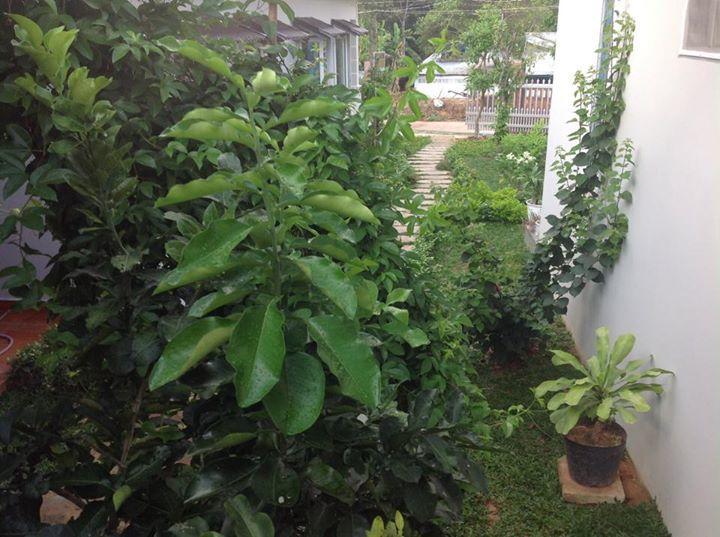Manh Duyen Garden Homestay ฟู้โกว๊ก ภายนอก รูปภาพ