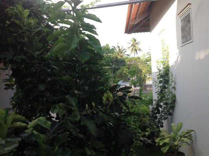 Manh Duyen Garden Homestay ฟู้โกว๊ก ภายนอก รูปภาพ