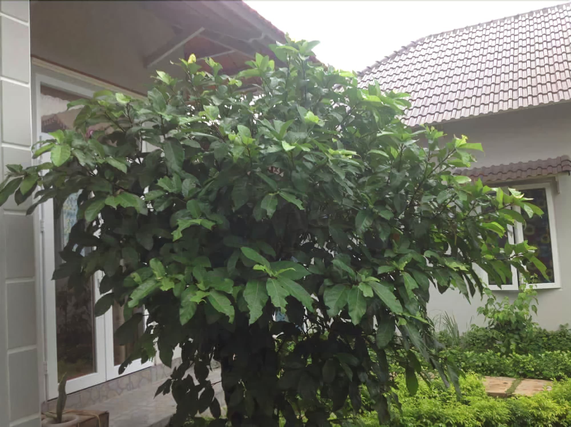 Manh Duyen Garden Homestay ฟู้โกว๊ก ภายนอก รูปภาพ